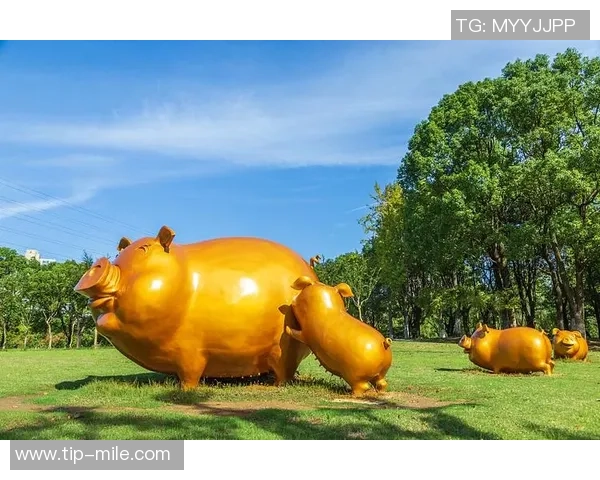 足球门背后的生肖秘密揭晓你知道吗它与哪个生肖息息相关